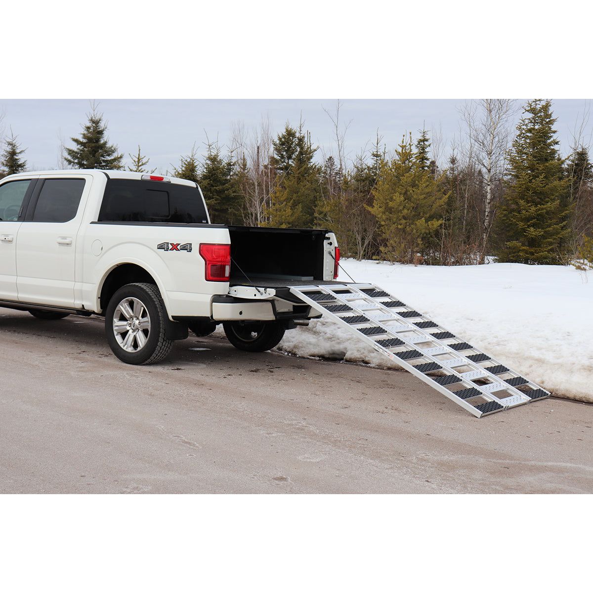 ENTHUZE| Aluminum Atv/Snowmobile Loading Ramp |ACTENT2168