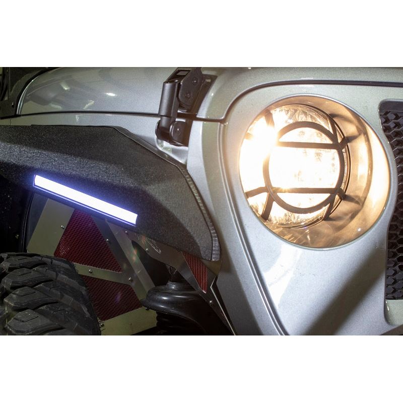 FISHBONE OFFROAD | 2018 - Present Jeep Jl Headlight Guards | FB21120