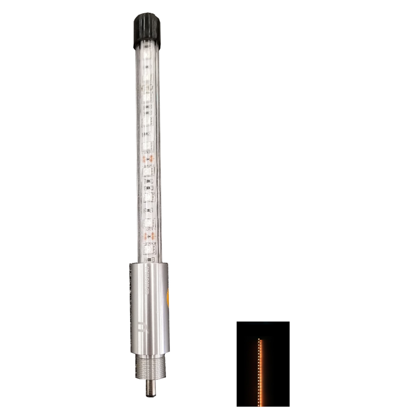 ENTHUZE|Screw On Top Led Light Only - Steady Amber |ACTENTWHIPSTEADY-A