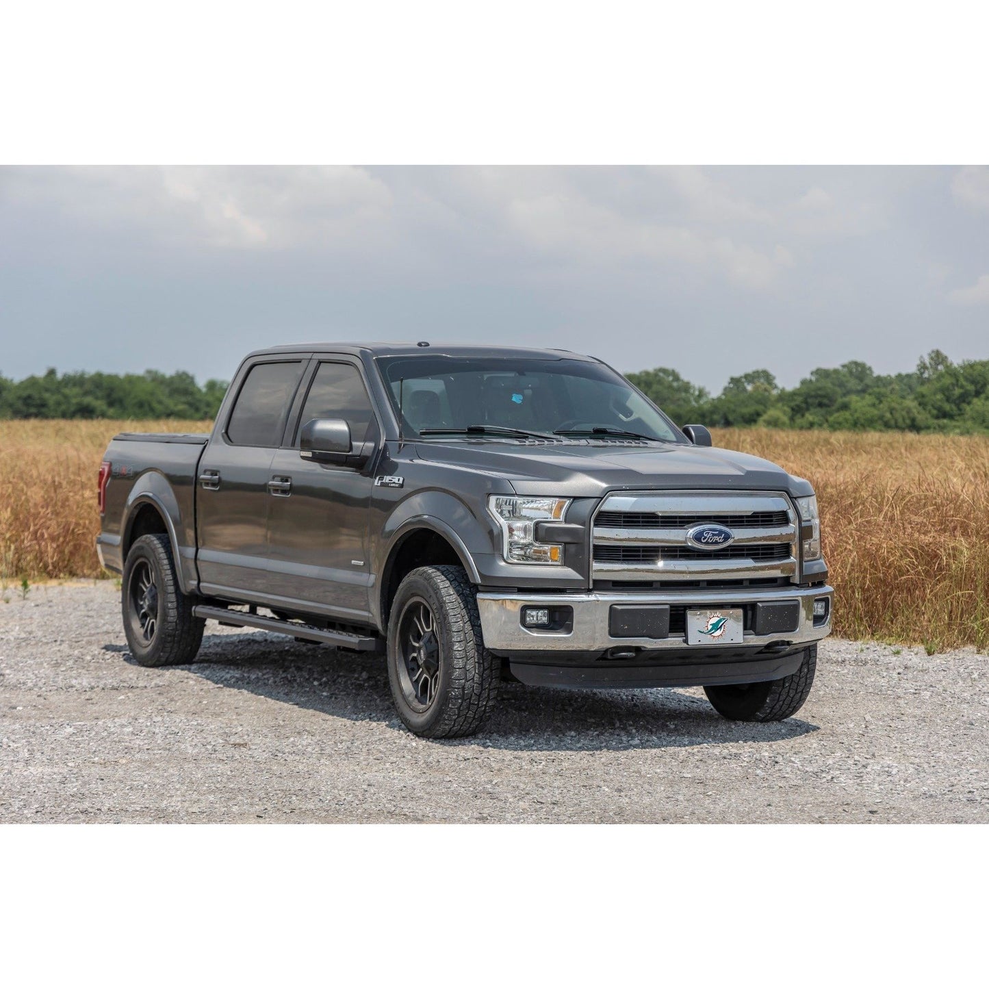 ROUGH COUNTRY BA2 Running Board | Side Step Bars | Ford F-150/F-250/F-350 2WD/4WD (15-25) | 41010A