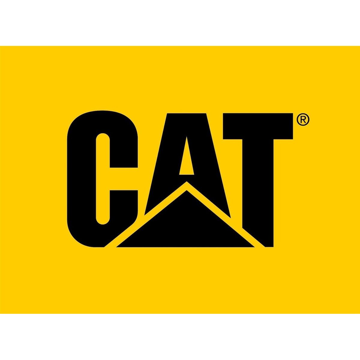 CAT 3 Ton Big Wheel Off Road Hybrid Jack 240330