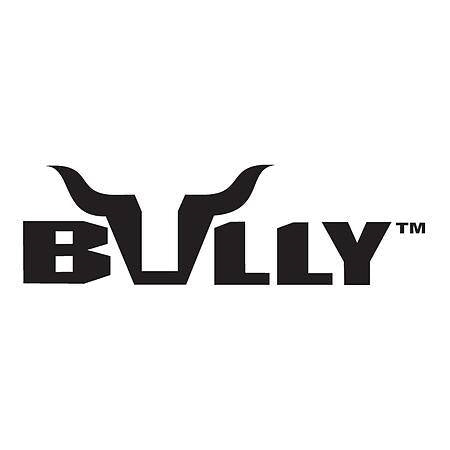 Bully Truck Dome Light Kit ILT-101W