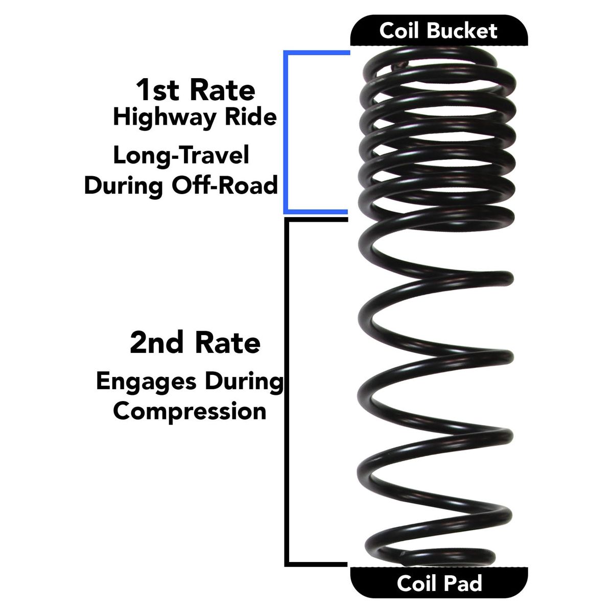 Skyjacker  2-2.5" Dual Rate-Long Travel Lift Kit System with M95 Shocks for Jeep Wrangler JL 2-Door 4WD