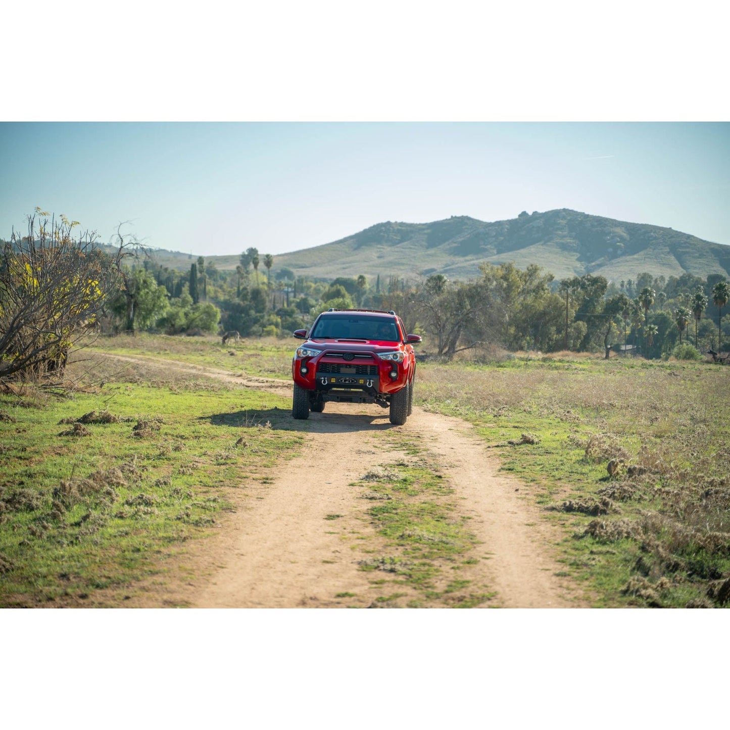 DV8 Off-Road 2014-2024 Toyota 4Runner | Centric Series Winch Front Bumper C3| FBTF3-02