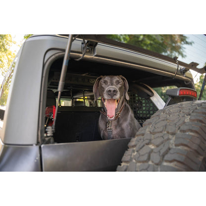 DV8 Off-Road 2021-2024 Ford Bronco | Dog Barrier C3| MPBR-10