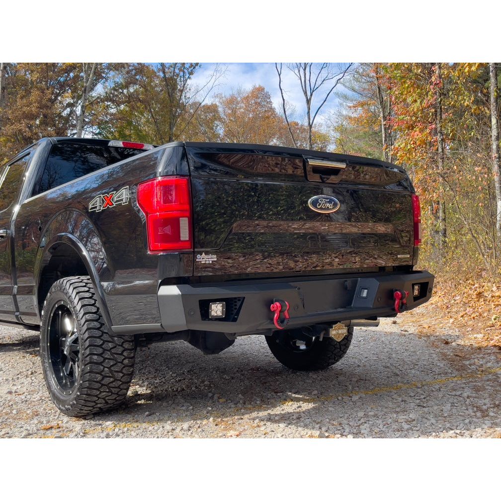 Body Armor 4x4 2015-2020 FORD F-150 AMBUSH REAR BUMPER FD-2967