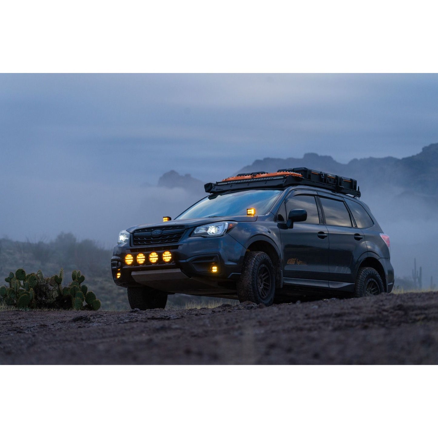 RIGID INDUSTRIES | D-SS Spot with Amber PRO Lens Pair Rigid Industries | 262214