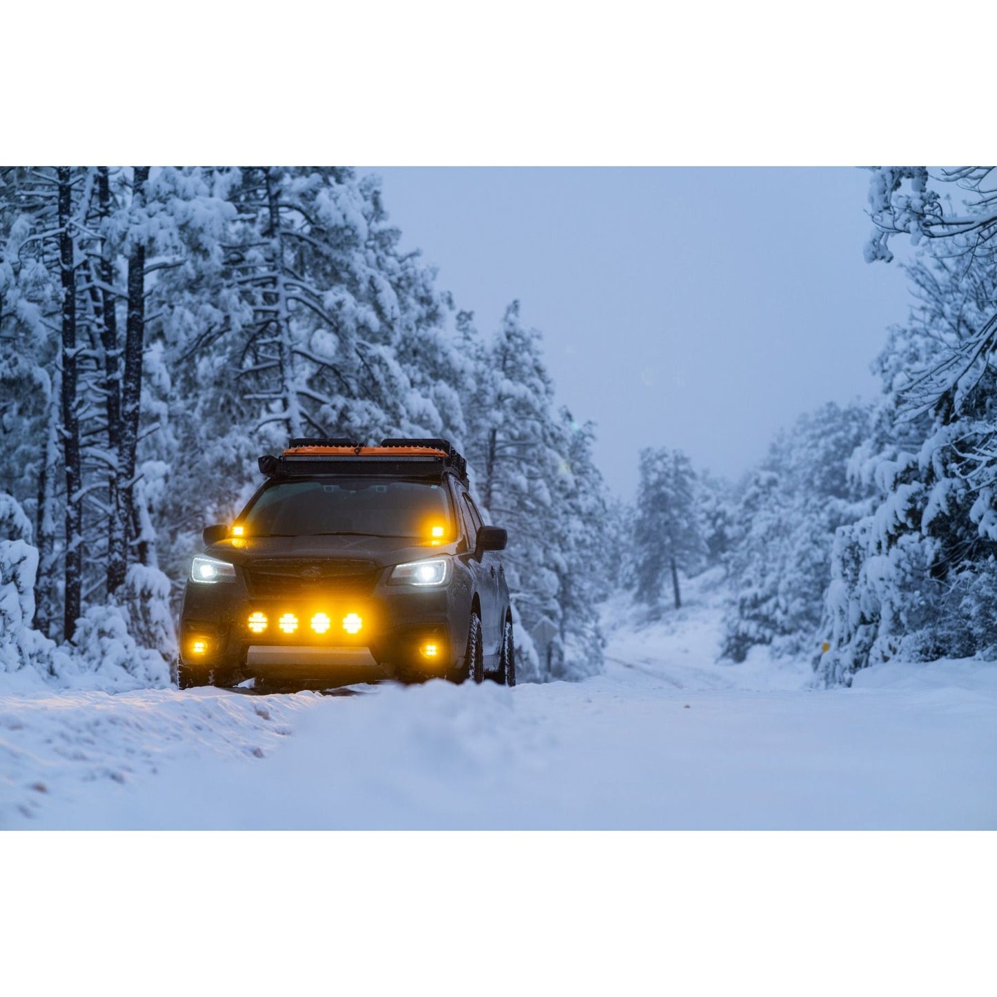 RIGID INDUSTRIES | D-SS Spot with Amber PRO Lens Pair Rigid Industries | 262214