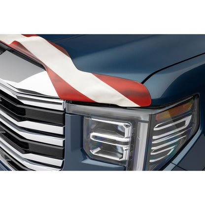 Husky Liners | Eagle American Flag Bug Shield For 2005-2011 Tacoma Husky Liners | 2818645 on a truck hood