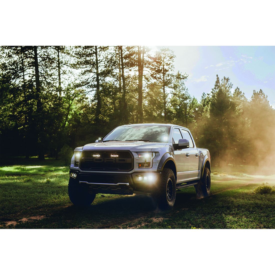 RIGID INDUSTRIES | Diffused Surface Mount Pair D-Series Pro RIGID Industries | 502513