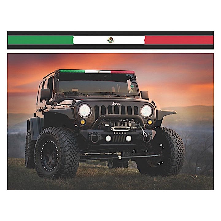 AEROLIDZ SG - MEXICAN FLAG - 50 INCH INSERT MEXFLG50S