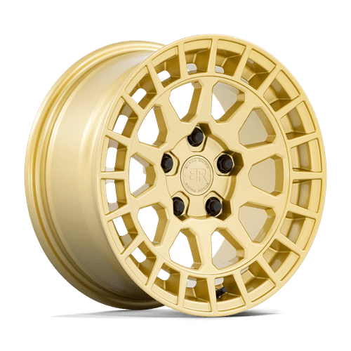 Black Rhino BOXER GLOSS GOLD