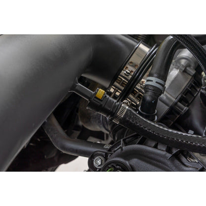 ROUGH COUNTRY Cold Air Intake Kit | 5.0L | Ford  F-150 2WD/4WD (2021-2025) | 10473