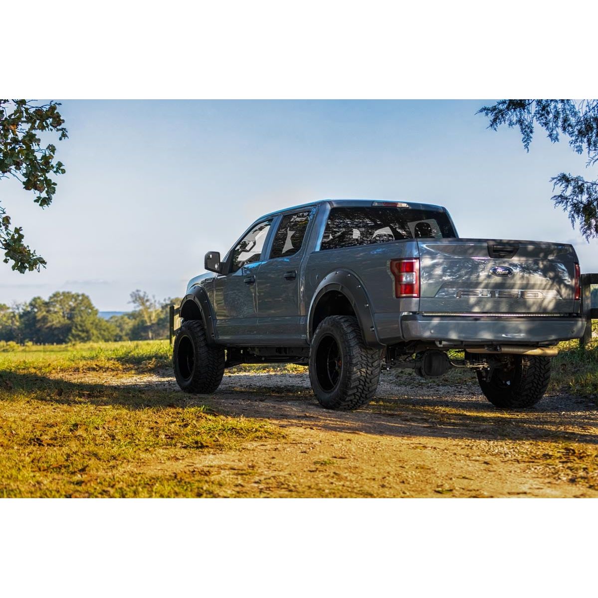 ROUGH COUNTRY Fender Flares | Defender | UX Ingot Silver Metallic | Ford F-150 (15-20) | A-F11811-UX