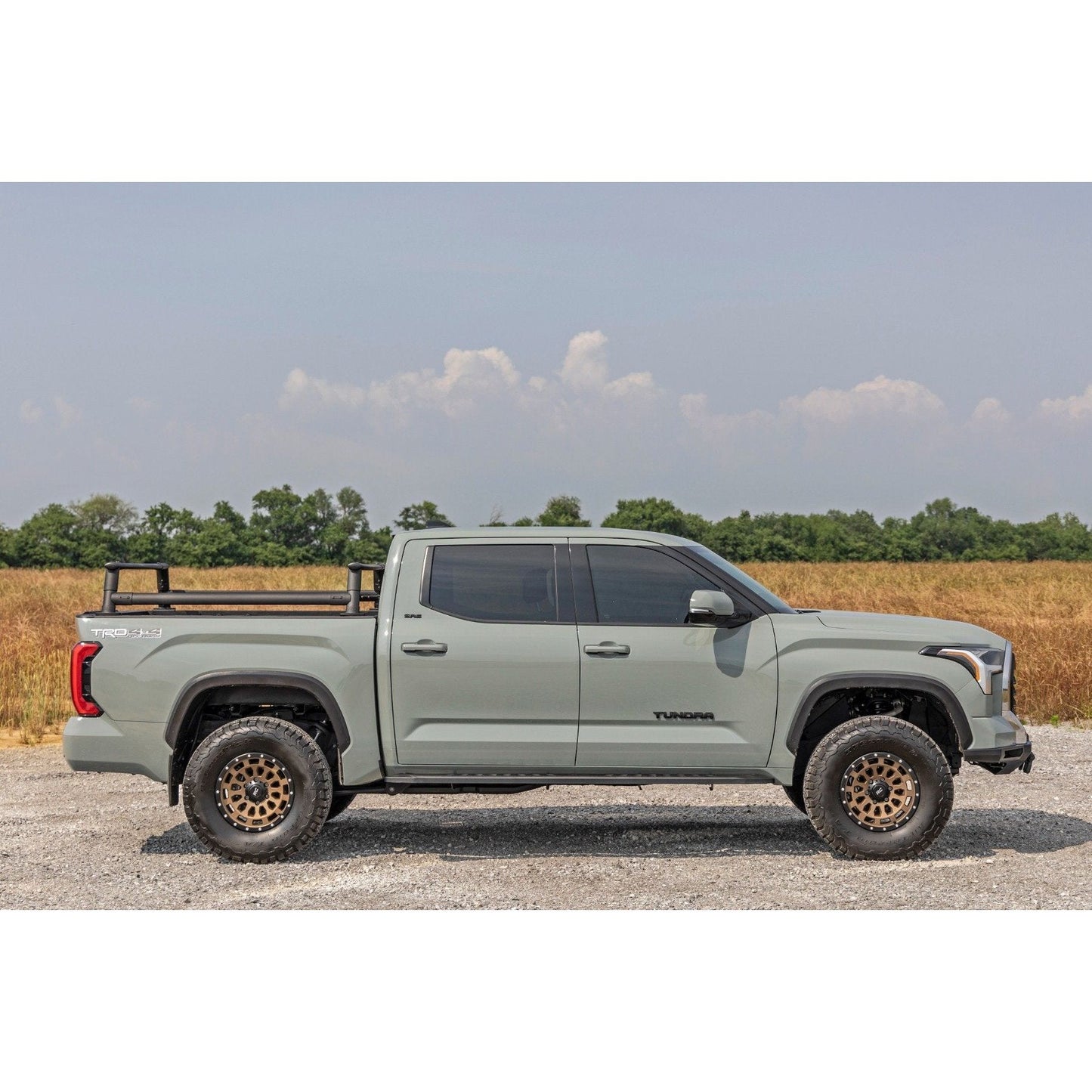 Rough Country RPT2 Running Board I 44007