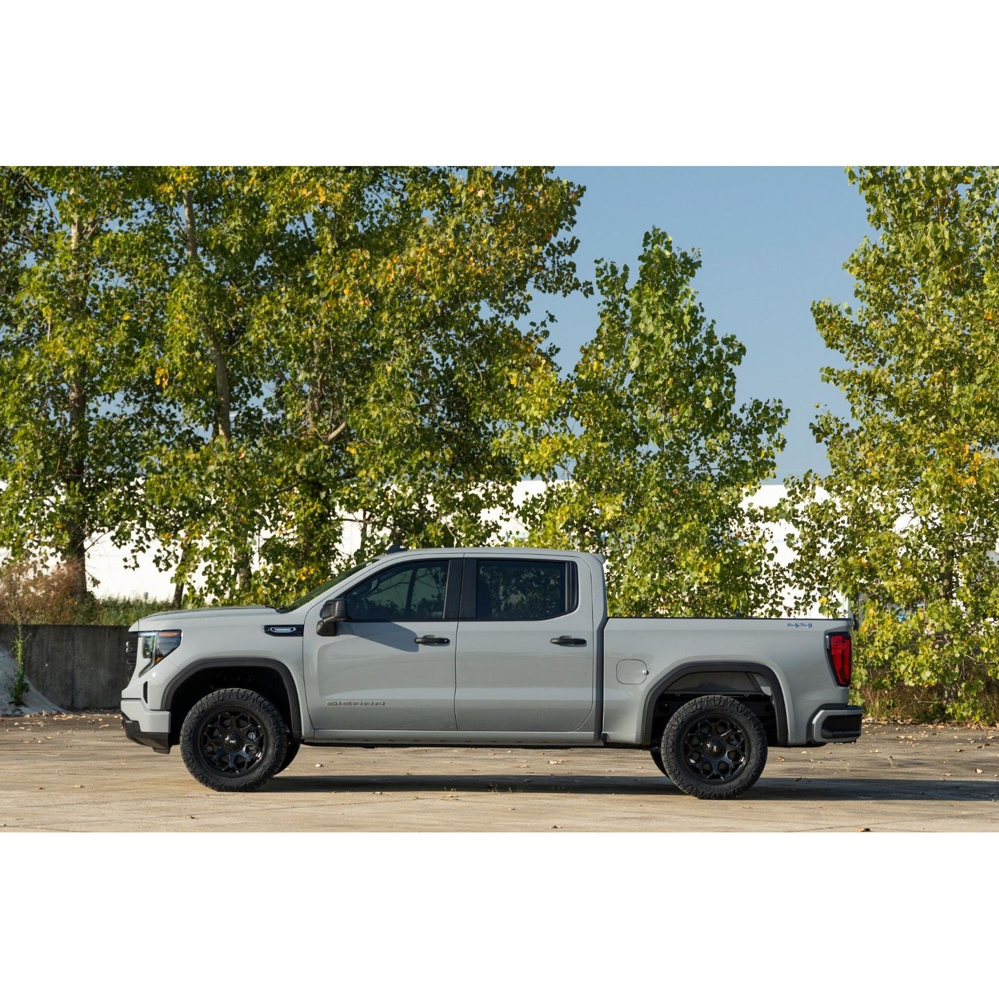 ROUGH COUNTRY N3 Leveling Struts | 2 Inch | Loaded Strut | Chevy/GMC Sierra 1500 (19-26)/Silverado 1500 (19-26)  | 501065