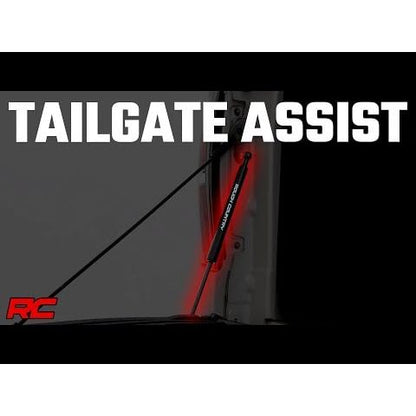 Rough Country Tailgate Assist I 73220