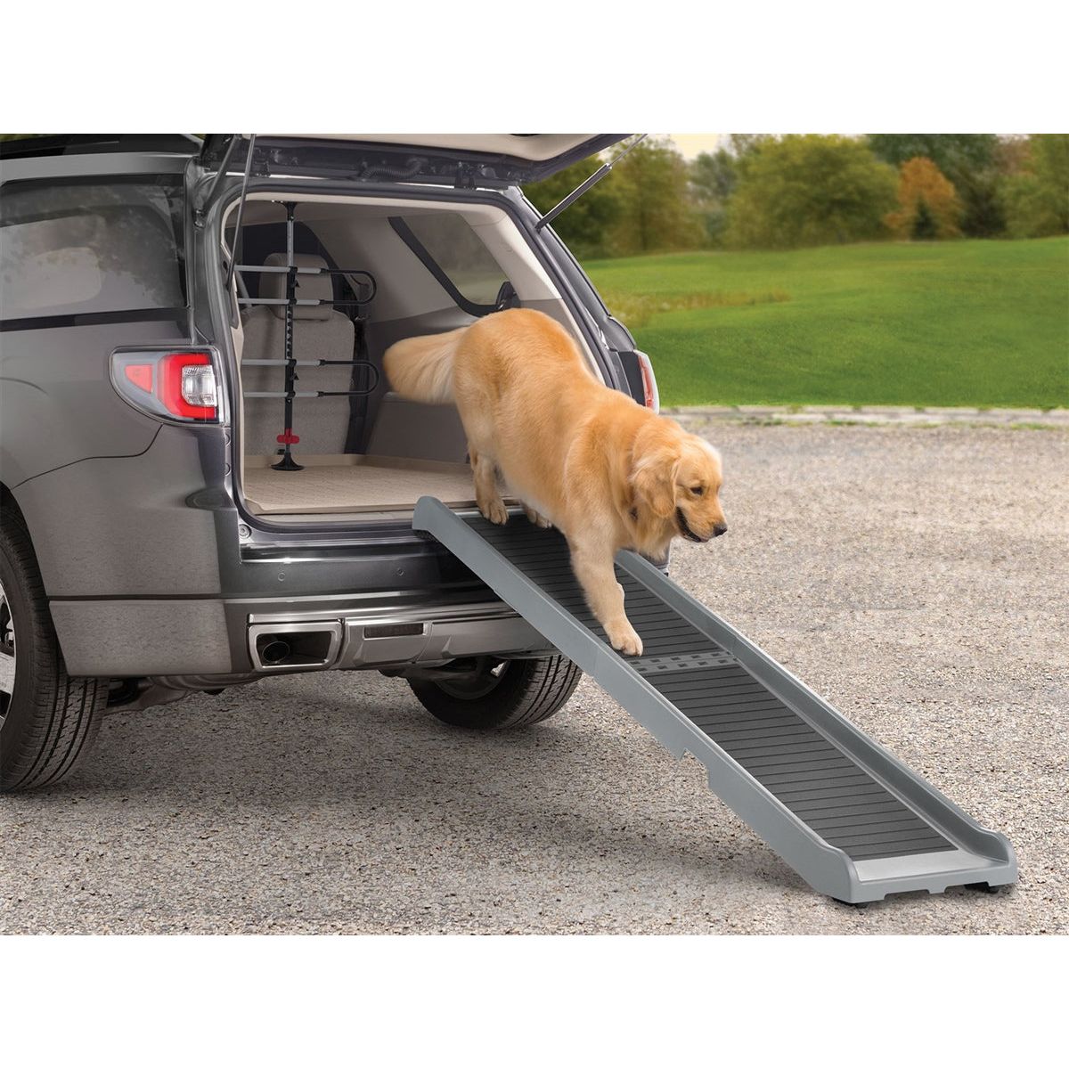 Dog ramp 2024 for pickup truck